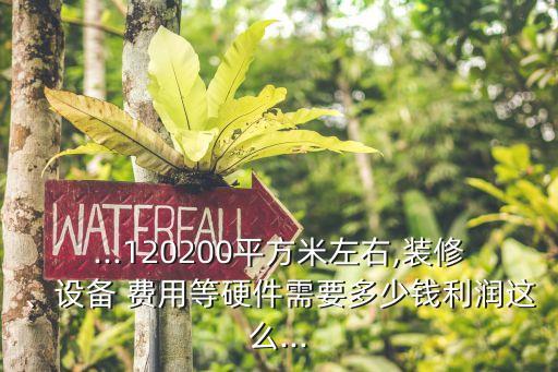 ...120200平方米左右,装修、设备 费用等硬件需要多少钱利润这么...
