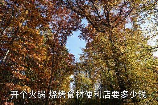 七宣自助烧烤加盟费多少,七公江湖烧烤加盟费
