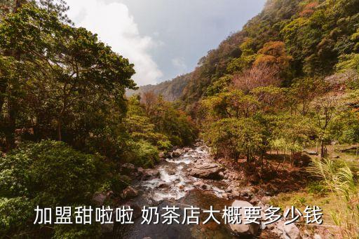 加盟甜啦啦 奶茶店大概要多少钱