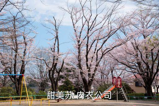 甜美苏 内衣公司