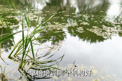 早培培训哪个机构好
