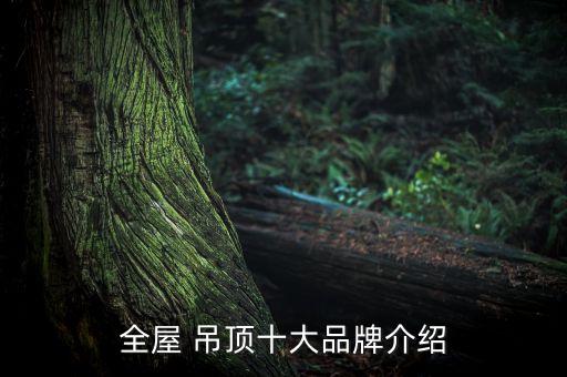 全屋 吊顶十大品牌介绍