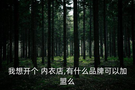 我想开个 内衣店,有什么品牌可以加盟么