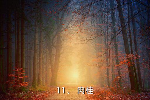 11、 肉桂