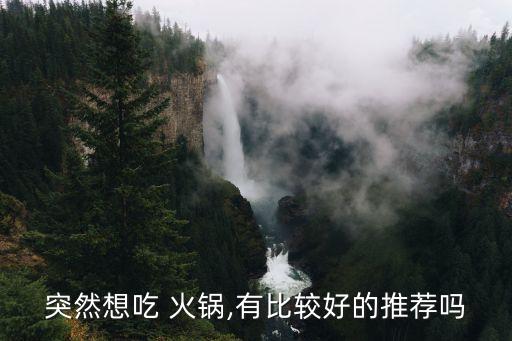 突然想吃 火锅,有比较好的推荐吗