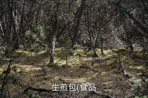 生煎包(食品