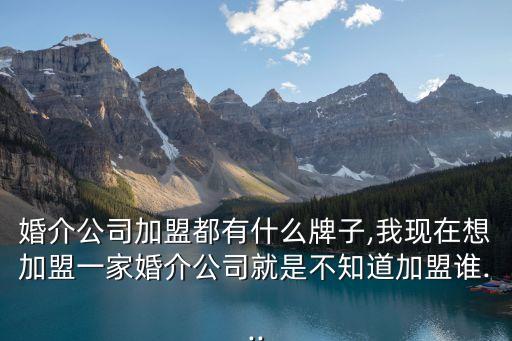 婚介公司加盟都有什么牌子,我现在想加盟一家婚介公司就是不知道加盟谁...