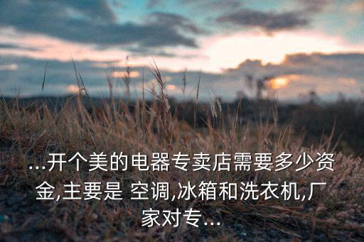 ...开个美的电器专卖店需要多少资金,主要是 空调,冰箱和洗衣机,厂家对专...
