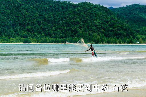 丹宅石花加盟费,龙海丹宅石花在哪里