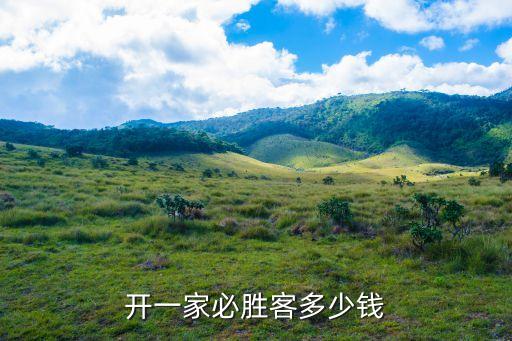开一家必胜客多少钱