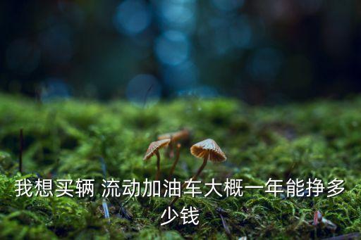 重庆流动加油车加盟费用,流动加油车合法吗?怎么加盟