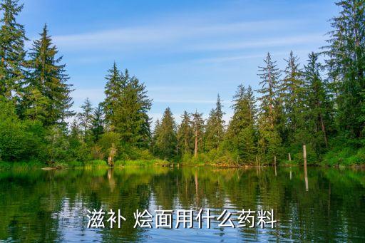 滋补 烩面用什么药料