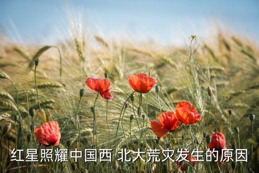 北大荒衣服加盟费多少,衣服品牌加盟费一般多少钱