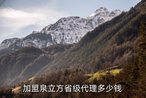 加盟泉立方省级代理多少钱