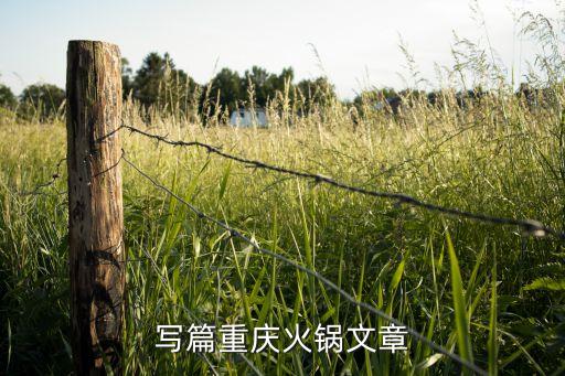 写篇重庆火锅文章