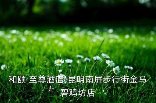 和颐 至尊酒店(昆明南屏步行街金马碧鸡坊店