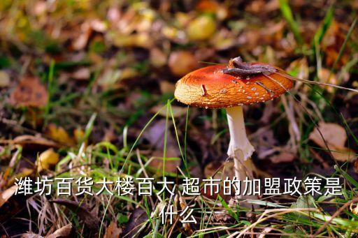潍坊百货大楼百大 超市的加盟政策是什么
