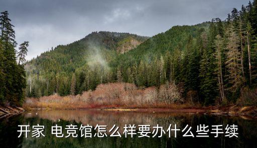 开家 电竞馆怎么样要办什么些手续
