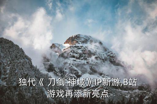 独代《 刀剑 神域》IP新游,B站游戏再添新亮点