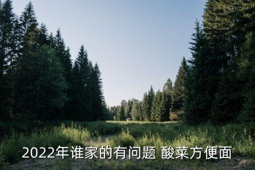 兰州酸菜拉面代理加盟费,兰州拉面酸菜牛肉炒饭图片