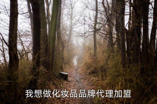 我想做化妆品品牌代理加盟
