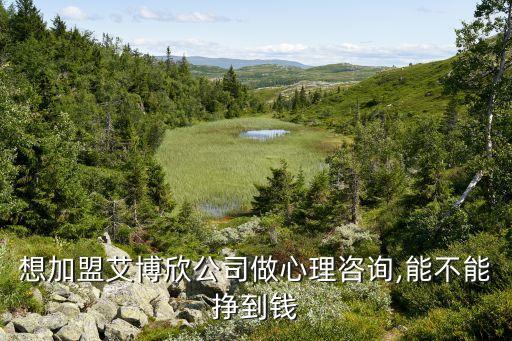 想加盟艾博欣公司做心理咨询,能不能挣到钱