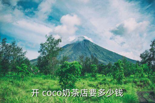 coco加盟费用大概多少一年