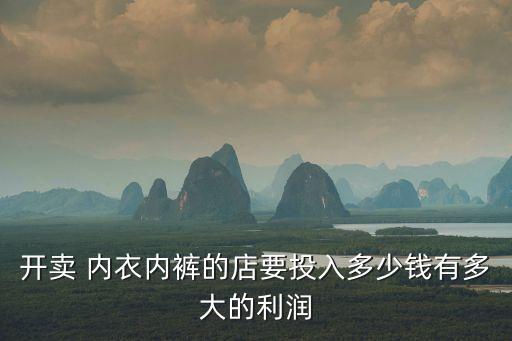 开卖 内衣内裤的店要投入多少钱有多大的利润