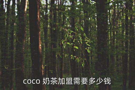 coco 奶茶加盟需要多少钱