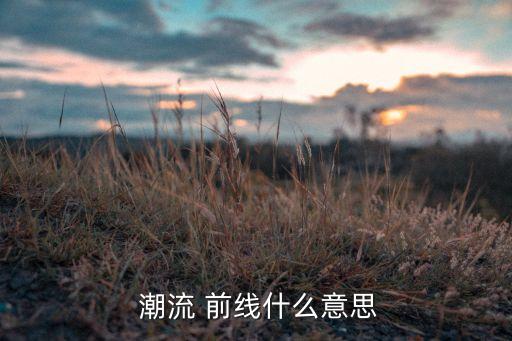  潮流 前线什么意思