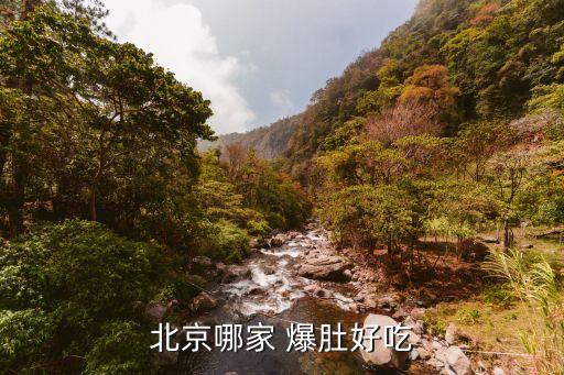 北京哪家 爆肚好吃