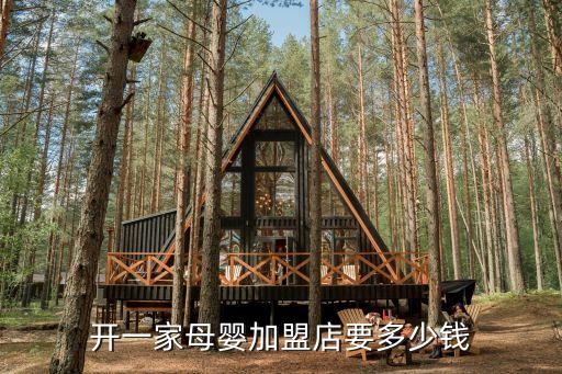 开一家母婴加盟店要多少钱