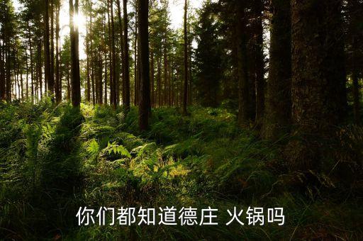 你们都知道德庄 火锅吗