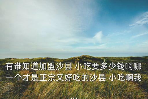 著名小吃加盟费用多少钱,串串香小吃加盟费用