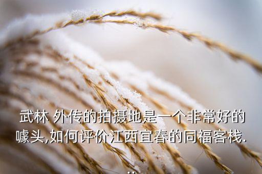  武林 外传的拍摄地是一个非常好的噱头,如何评价江西宜春的同福客栈...