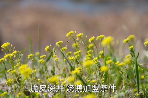 脆皮深井 烧鹅加盟条件