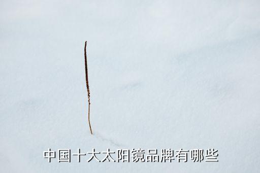 中国十大太阳镜品牌有哪些
