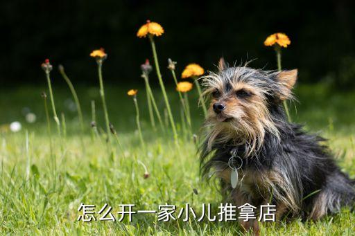 林州儿推连锁加盟费用