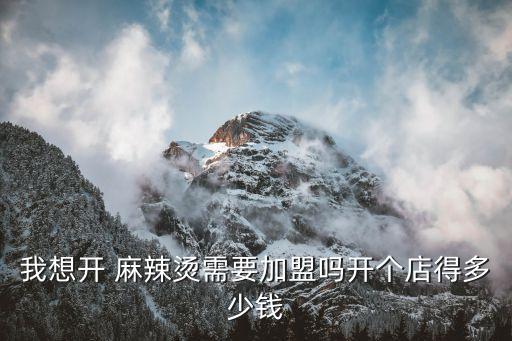 我想开 麻辣烫需要加盟吗开个店得多少钱