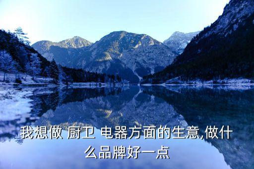我想做 厨卫 电器方面的生意,做什么品牌好一点