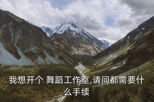 我想开个 舞蹈工作室,请问都需要什么手续