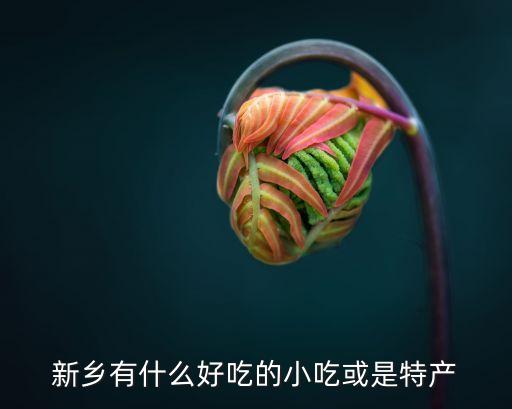 新乡有什么好吃的小吃或是特产