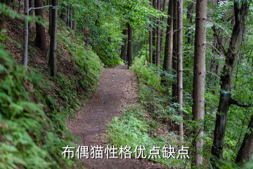布偶猫性格优点缺点