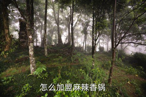 三斗锅加盟费多少,转转锅加盟费是多少