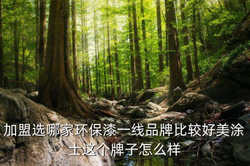 加盟选哪家环保漆一线品牌比较好美涂士这个牌子怎么样