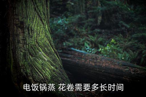 电饭锅蒸 花卷需要多长时间