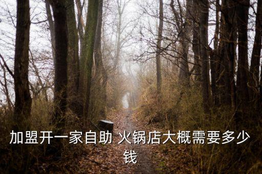 加盟开一家自助 火锅店大概需要多少钱