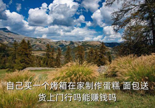 自己买一个烤箱在家制作蛋糕 面包送货上门行吗能赚钱吗