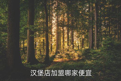 比客汉堡加盟费多少,贝克汉堡加盟费