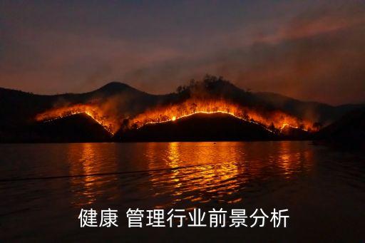  健康 管理行业前景分析